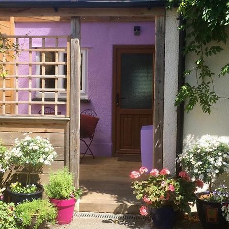Cute Self-Contained Guest Room With Ensuite And Private Decked Porch In กลาสตันเบอรี ภายนอก รูปภาพ